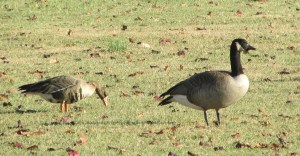 Photo by Bryan Stevens