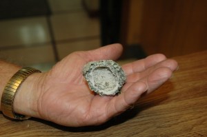 ABC-HummerNest-inHand-Program