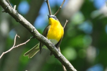 ????????????????????????????????????