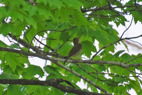 8717339267_b6a3d5217d_o