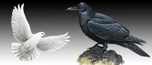 parable-raven-dove
