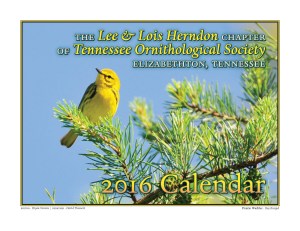 HerndonCalendar2016(Cover)-1 (2)