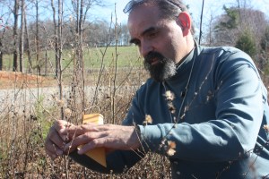 Gary_Kauffman,_US_Forest_Service,_collects_Georgia_aster_seeds_(8057079764)