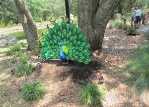 Peacock-LegoAndDucks
