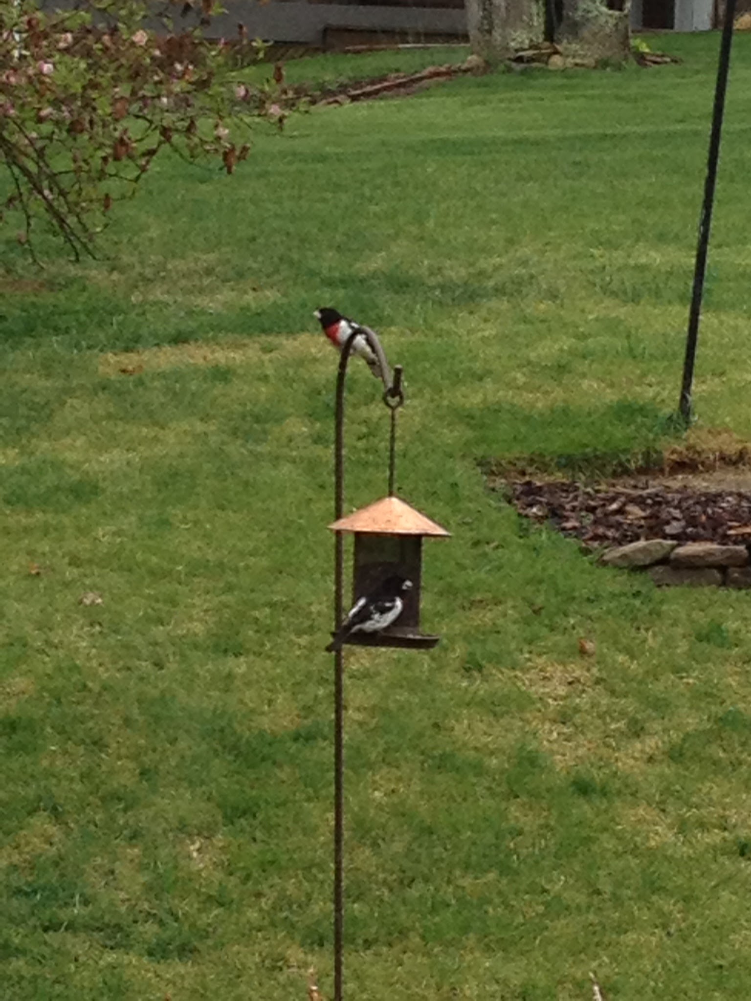 DDB1466C-233A-4CB8-8C73-BD7C30B4E4A3 (1)