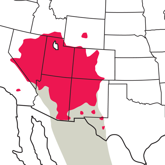 Virginia's-Warbler_map