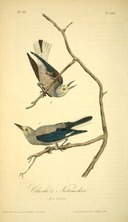 9486bf24f78c7a66a0ce4aa436951ef4